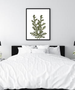 Alternative view of Pressed Botanical Fern Wall Art | Minimalist Green Plant Printable | Nature-Inspired Digital Decor for Boho, Modern & Rustic Interiors